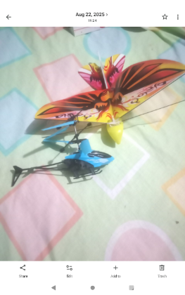 Flying bird remote controller